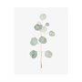 101762-L - Soft Eucalyptus Branch II by Emma Scarvey a Hand Embellished Textured Canvas