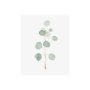 101762-S - Soft Eucalyptus Branch II by Emma Scarvey a Hand Embellished Textured Canvas