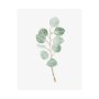 101763-L - Soft Eucalyptus Branch III by Emma Scarvey a Hand Embellished Textured Canvas