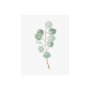 101763-S - Soft Eucalyptus Branch III by Emma Scarvey a Hand Embellished Textured Canvas