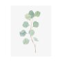 101764-L - Soft Eucalyptus Branch IV by Emma Scarvey a Hand Embellished Textured Canvas