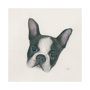 101773-L - Floyd (Boston Terrier 1) by Mercana Studio a Hand Embellished Textured Canvas