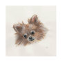 101774-L - Frankie (Pomeranian 1) by Mercana Studio a Hand Embellished Textured Canvas