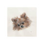 101774-S - Frankie (Pomeranian 1) by Mercana Studio a Hand Embellished Textured Canvas