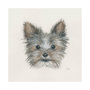 101775-L - Eddie (Yorkie 1) by Mercana Studio a Hand Embellished Textured Canvas