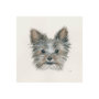 101775-S - Eddie (Yorkie 1) by Mercana Studio a Hand Embellished Textured Canvas