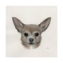 101776-L - Eddie (Yorkie 1) by Mercana Studio a Hand Embellished Textured Canvas