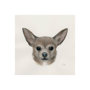 101776-S - Charlote (Chihuahua) by Mercana Studio a Hand Embellished Textured Canvas