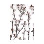101797-L - Budding Blossom by Frank Assaf a Hand Embellished Textured Canvas