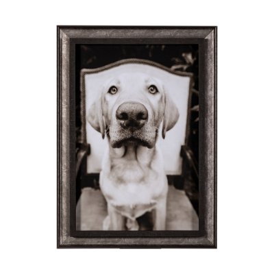 13542 - Sitting by Jim Drafield a Hand Embellished Textured Framed Photo Art Print