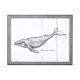 13563 - Humpback Whale by Mercana Studio a Hand Embellished Textured Framed Art Print