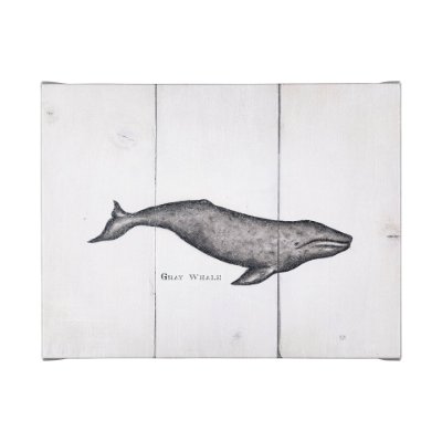 101866-L - Gray Whale by Mercana Studio a Hand Embellished Textured Canvas