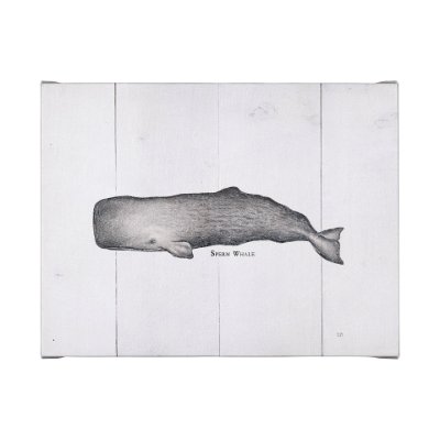 101867-L - Sperm Whale by Mercana Studio a Hand Embellished Textured Canvas