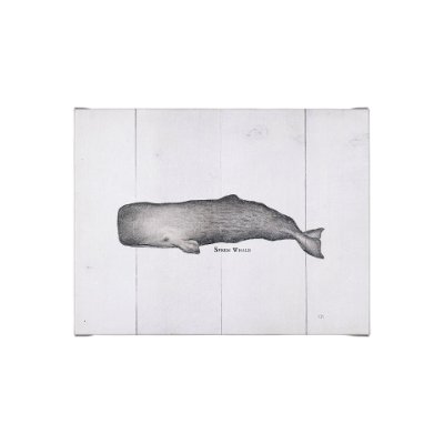 101867-S - Sperm Whale by Mercana Studio a Hand Embellished Textured Canvas
