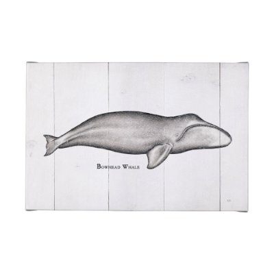 101868-L - Bowhead Whale by Mercana Studio a Hand Embellished Textured Canvas