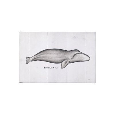 101868-S - Bowhead Whale by Mercana Studio a Hand Embellished Textured Canvas