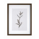 13491 - Olive Branch I by Gabrielle a Framed Art Print Matted under Glass
