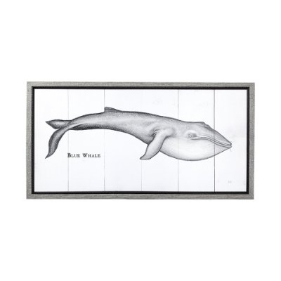 13564 - Blue Whale by Mercana Studio a Hand Embellished Textured Framed Art Print