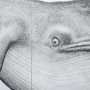 13564_G