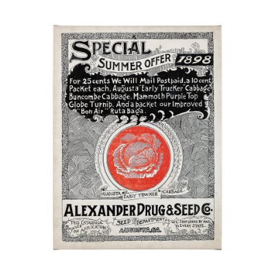 101898-L - Antique Seed Packet XIIII by Mercana Studio a Hand Embellished Textured Canvas