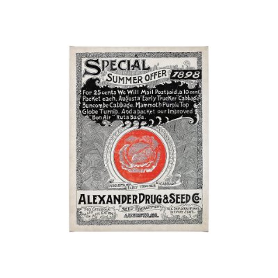 101898-S - Antique Seed Packet XIIII by Mercana Studio a Hand Embellished Textured Canvas
