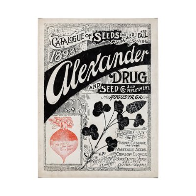 101899-S - Antique Seed Packet XIV by Mercana Studio a Hand Embellished Textured Canvas