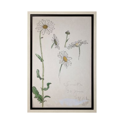 13607 - Blom Ritning by John Bauer a Hand Embellished Textured Framed Art Print Matted under Glass