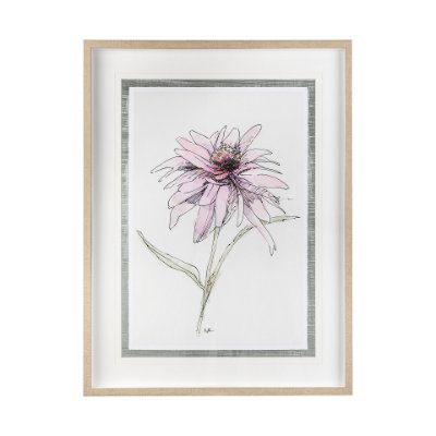 13648 - Echinacea I by Panpan Zhang a Framed Art Print Matted under Glass