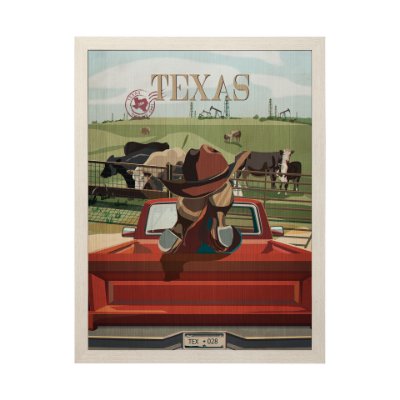 13731 - Texas Go USA (L) by Mercana Studio a Hand Embellished Decograph Framed Art Print