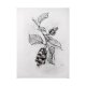 102014-L - Wildberry Collection Saskatoonberry by Ariana a Hand Embellished Textured Canvas