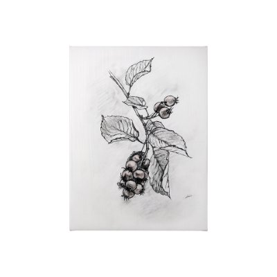 102014-S - Wildberry Collection Saskatoonberry by Ariana a Hand Embellished Textured Canvas