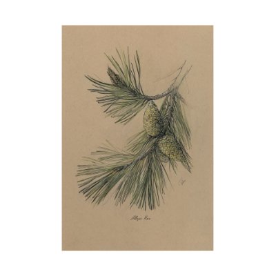 102044-L - Evergreen collection I by Victoria a Hand Embellished Textured Canvas