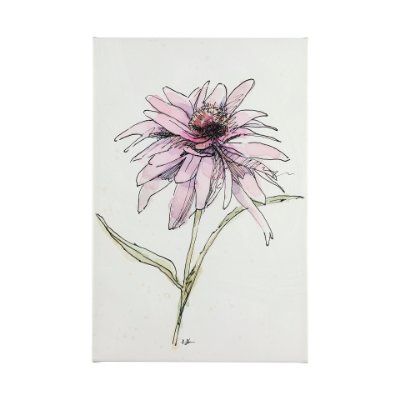 101884-L - Echinacea I by Mercana Studio a Hand Embellished Textured Canvas