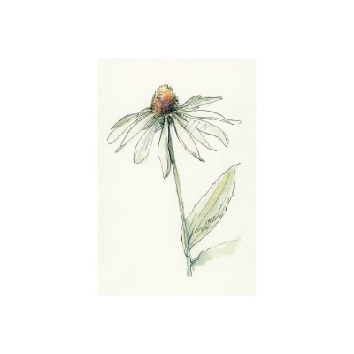 101885-S - Echinacea II by Mercana Studio a Hand Embellished Textured Canvas