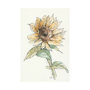 101886-L - Sunflower I by Mercana Studio a Hand Embellished Textured Canvas