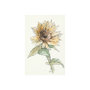 101886-S - Sunflower I by Mercana Studio a Hand Embellished Textured Canvas