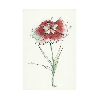 101888-L - Dianthus I by Mercana Studio a Hand Embellished Textured Canvas