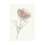 101889-L - Dianthus II by Mercana Studio a Hand Embellished Textured Canvas