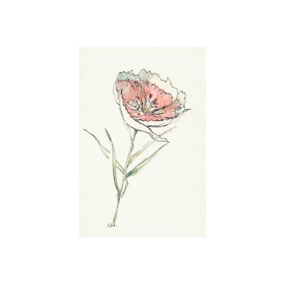 101889-S - Dianthus II by Mercana Studio a Hand Embellished Textured Canvas