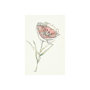101889-S - Dianthus II by Mercana Studio a Hand Embellished Textured Canvas