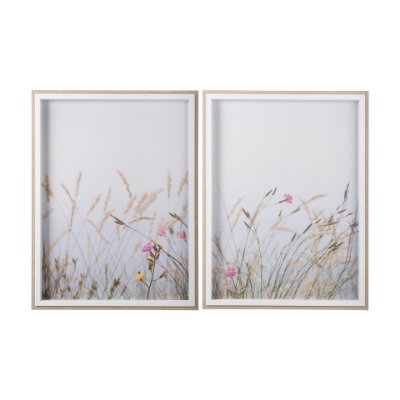 14077 - Wildflower Fade - L by Mercana Studio a Framed Photo Art Print Matted under Glass