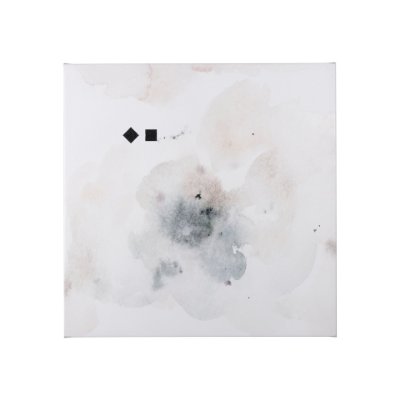 102090-S_A
