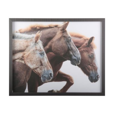 14105 - Bold Equine - Run by Mercana Studio a Hand Embellished Textured Framed Photo Art Print Matted under 