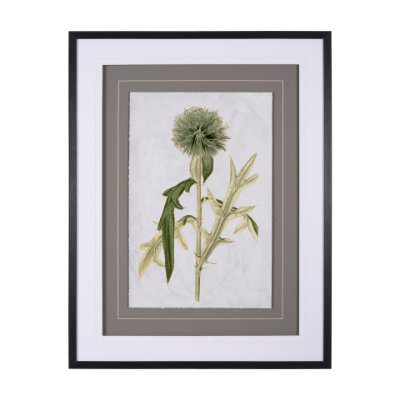 13969 - Soft Blue Botanoicals VI by Mercana Studio Hand Embellished Framed Art Print Matted under Glass