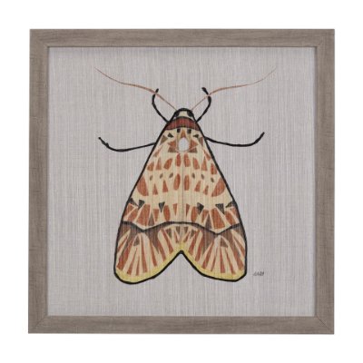 14311 - Moth I by Mercana Studio a Hand Embellished Textured Framed Art Print