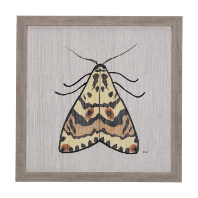 14313 - Moth III by Mercana Studio a Hand Embellished Textured Framed Art Print