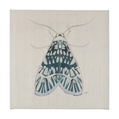 102214-L - Moth Blue I by Mercana Studio a Hand Embellished Textured Canvas