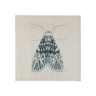 102214-S - Moth Blue I by Mercana Studio a Hand Embellished Textured Canvas