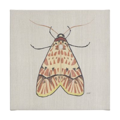102217-L - Moth I by Mercana Studio a Hand Embellished Textured Canvas