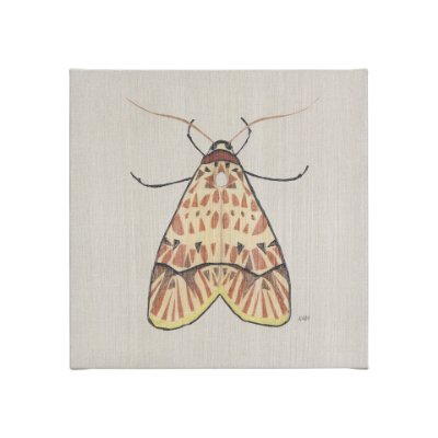 102217-S - Moth I by Mercana Studio a Hand Embellished Textured Canvas
